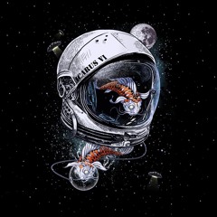 Infinite🚀