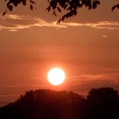 dreamy mind transmissions