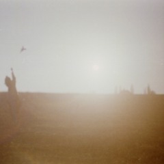 sight