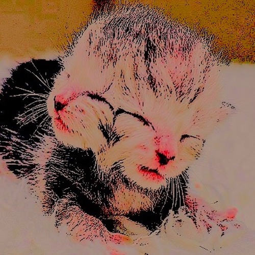 Lullaby To Chaos