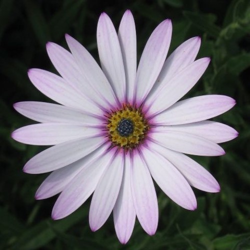 Ear bleedin’ Hi-Tech