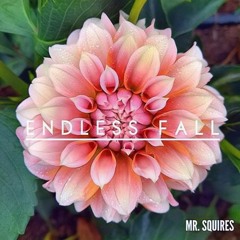 Mr. Squires - Endless Fall (The Deep Control Podcast)