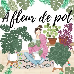 Morgane du blog "Vert Bobo" dévoile sa passion des plantes sur la toile