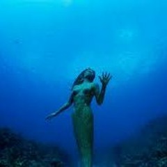 Lo'Kprod INSTRU "venus" 2019