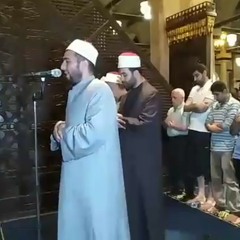 محمد فوزي البربري