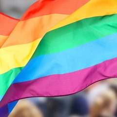 RJ DIVYAA one year to Decriminalization of section 377