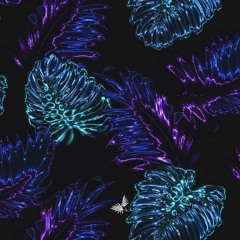 Kurup - Quenacho Fuji