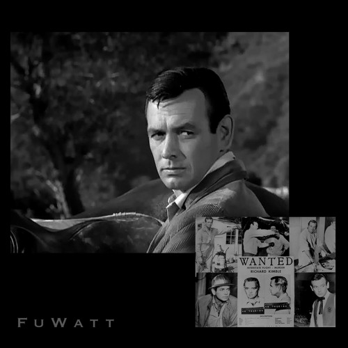 The Fugitive