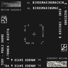 (MS0.6) V/a - Birdsmakingmachine / Amadeo Savio / E-Tronik / Voltery