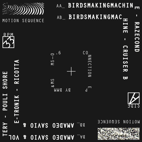 (MS0.6) V/a - Birdsmakingmachine / Amadeo Savio / E-Tronik / Voltery