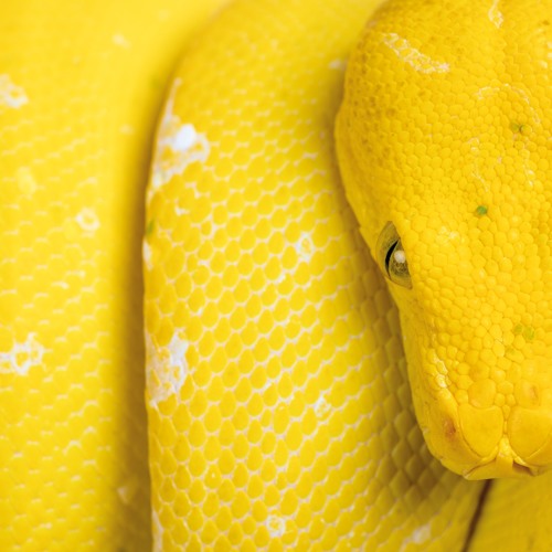 Premiere: Elliot 'JC Zonker'