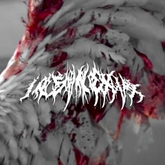 MXRNINGSTVR FREESTYLE