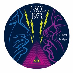 P-SOL - 1973