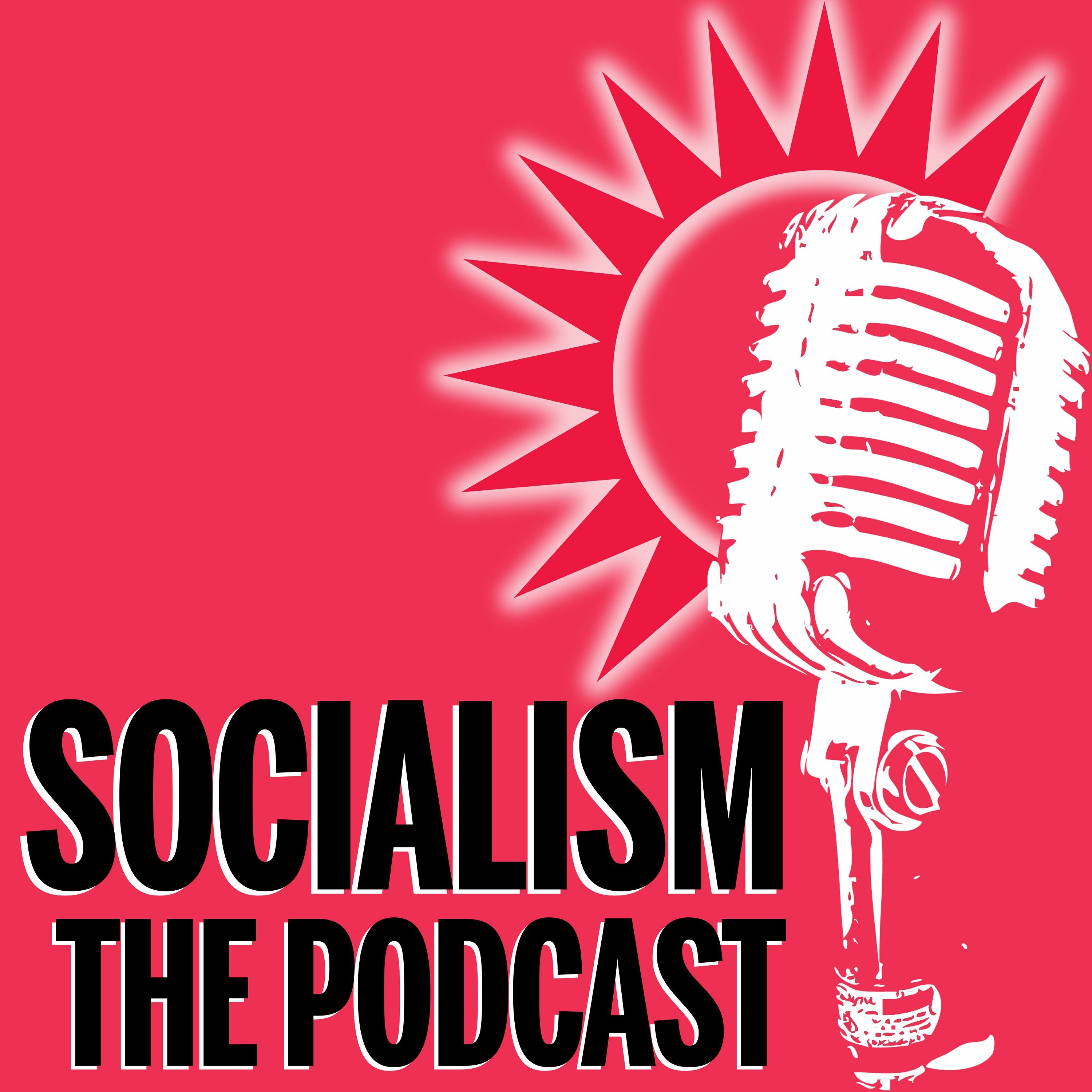 38. Government meltdown: what now?