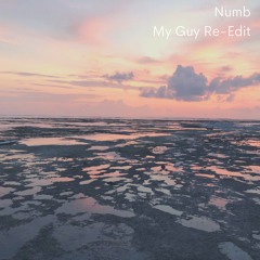 Numb (My Guy's Ode To Chester Re - Edit)