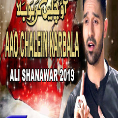 Aao Chalein Karbala Ali Shanawar Nohy