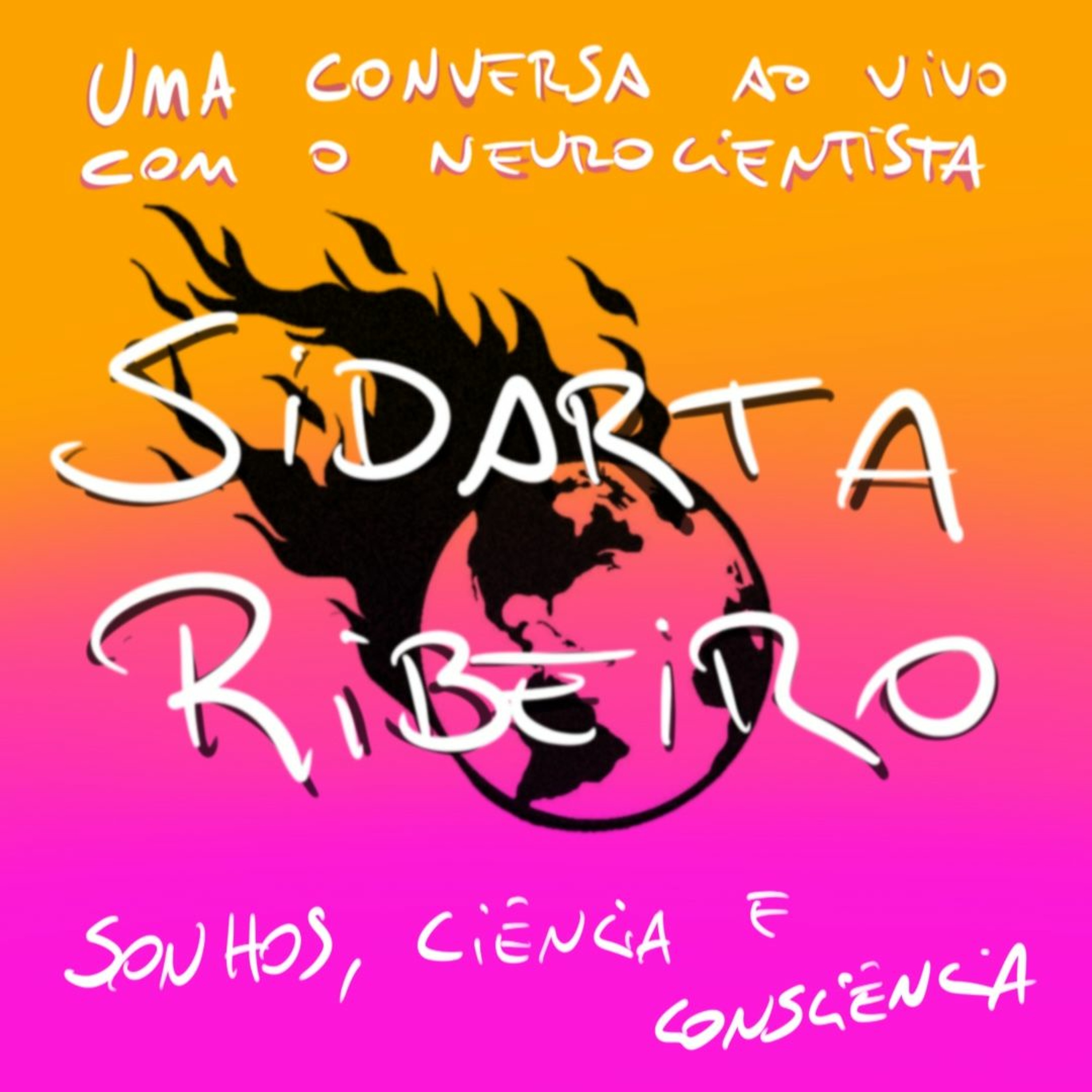 BFM - uma conversa com Sidarta Ribeiro. Sonhos, ciência e consciência episode artwork