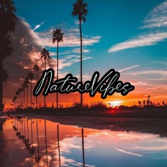 NatureVibes - Unfinished Business