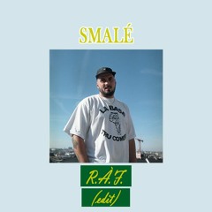 Zwangere Guy - R.A.F. (smalé flip)
