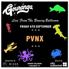 PVNX - Mini Mix for Gouranga