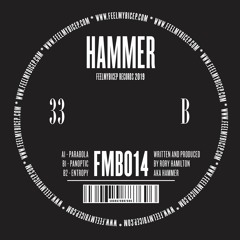 HAMMER | PARABOLA SAMPLER (FMB014)