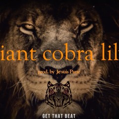 GIANT COBRA LILY - Underground Rock Guitar Limp Bizkit x NF Type Beat