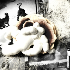 VVV - From Panel to Post