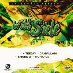 Teejay - Pussy Pension [Wild Side Riddim]