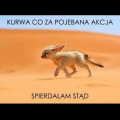 ŻABSON x LNT BLEND   PATOLOGITEJSZYN VIXA POMPTAPE #2.mp3