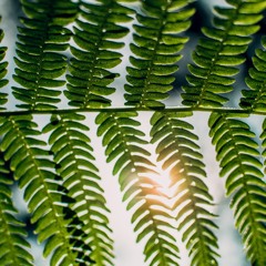 Sweet Radiant Mystery with Handbells