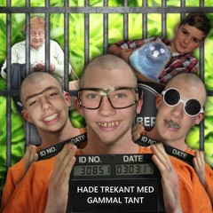 Trekant - Migos 2