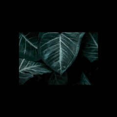 Kayou. - Sleepwalking