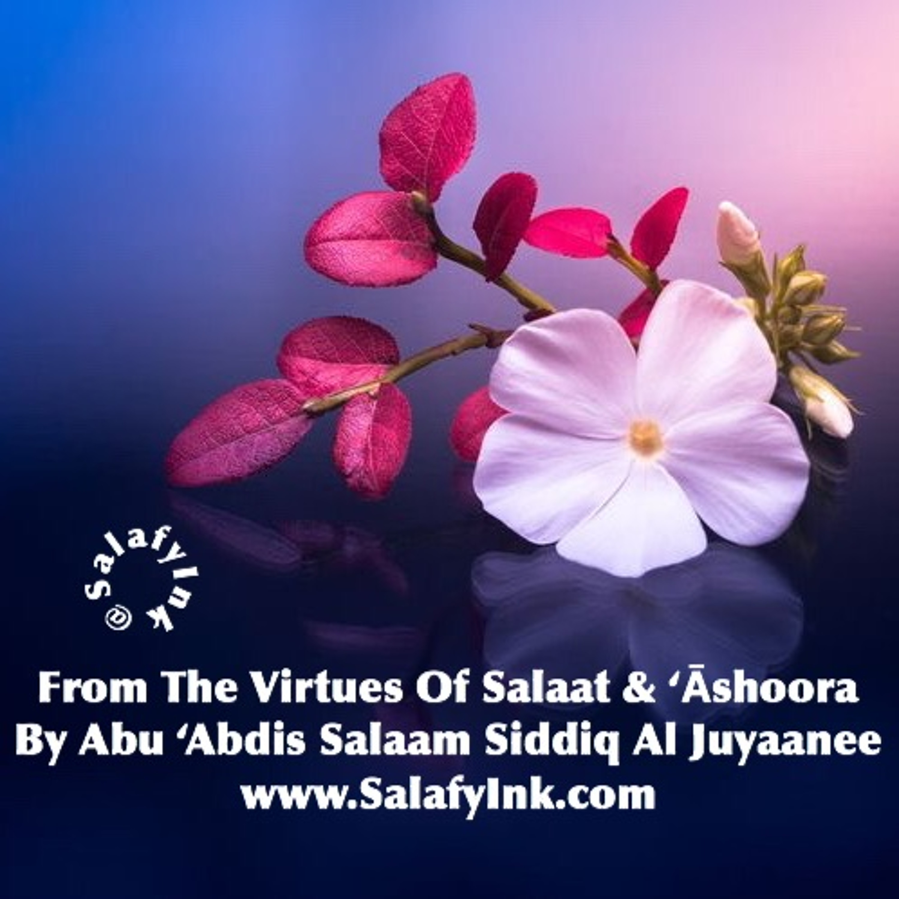 From The Virtues Of Salaat & ‘Āshoora By Abu ‘Abdis Salaam Siddiq Al Juyaanee episode artwork
