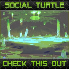 Social Turtle - Check This Out