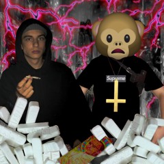 MLODY LESZCZ X MLODY KRET - MELANŻYK