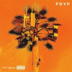 PDYP