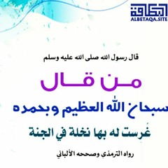 بس أنا نفسي أحب || الشيخ محمد الغليظ