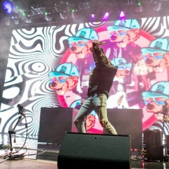 Griz Rocks