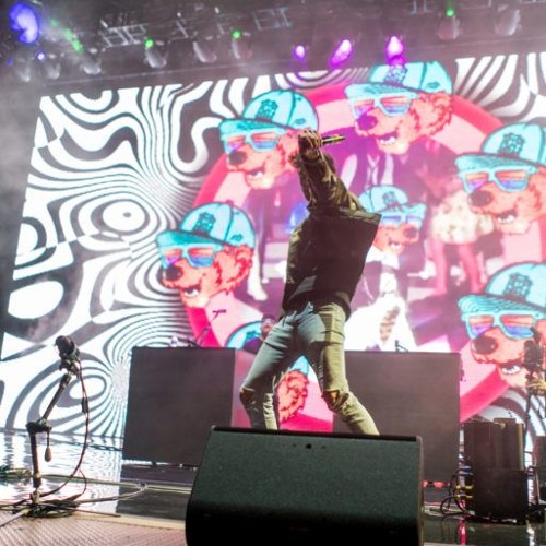 Griz Rocks