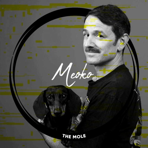 MEOKO x Serialism LDN - Exclusive Podcast Series | The Mole
