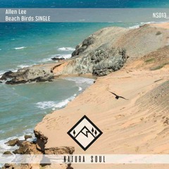 Allen Lee - Beach Birds  (Original Mix)