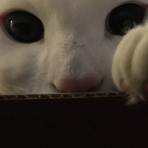 SUUN MIX 2015