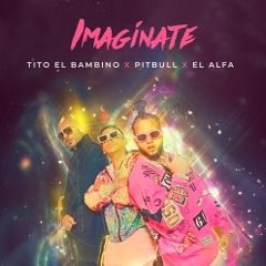 El Alfa, Tito El Bambino Ft. Pitbull - Gigolo (Imaginate) - Intro DJ Anthony