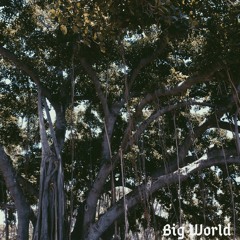 Big World