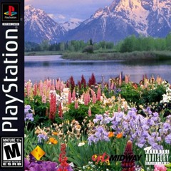 Field Filled with Flowers