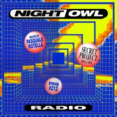 Night Owl Radio 212 ft. Secret Project Festival 2019 Mega-Mix