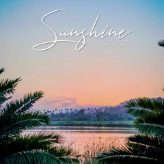 Rabbit Theft - Sunshine