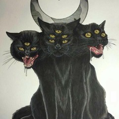 Lil kitty cat