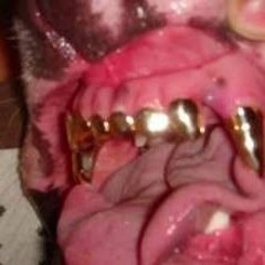 @jtooliedafoolie imma dog prod. kden ju