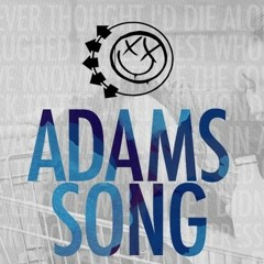 Adams Song (Acoustic Cover)